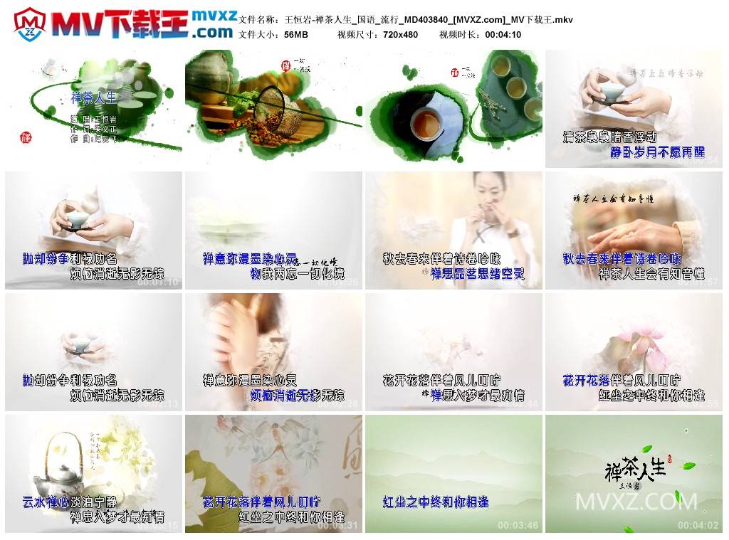 王恒岩-禅茶人生_国语_流行_MD403840